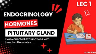 ENDOCRINOLOGY PITUITARY GLANDHORMONES EXAM ORIENTED EXPLANATIONS HAND WRITTEN NOTES [upl. by Dilan]