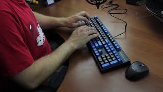 Typing Demo XL  Cherry MX Silent RedquotPinkquot Leopold FC900R ASMR [upl. by Acacia]