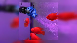 Wave maker for aquarium [upl. by Newcomb]