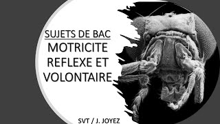 SUJETS BAC Motricité 2 [upl. by Carrnan]