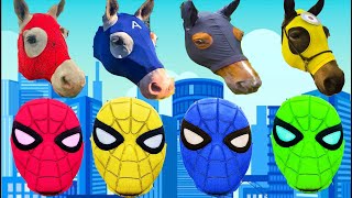 TEBAK GAMBAR Wron Head Of Rainbow Spiderman Horse  Choose The Right Color of Spiderman [upl. by Durham359]