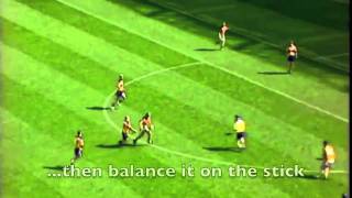 Hurling  The Fastest Game on Grass short version [upl. by Bellda]