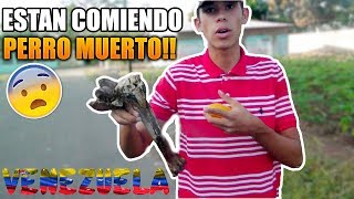 EN VENEZUELA ESTÁN COMIENDO PERRO Y GATO Vídeo Viral MÍRALO ANTES DE QUE LO BORREN [upl. by Reinar427]