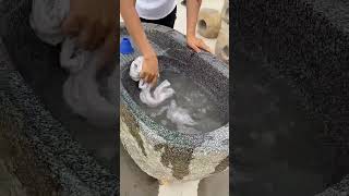 Wash Basin Solutions Enhancing Your Courtyards Laundry Experience😱shortvideo [upl. by Lawry]