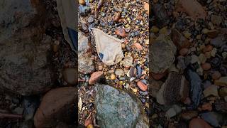 A Message in a Bottle  Mudlarking Thames mudlarking [upl. by Hairahs]