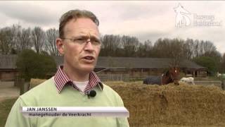 Rhinovirus strop voor manege Heumen [upl. by Annekam851]