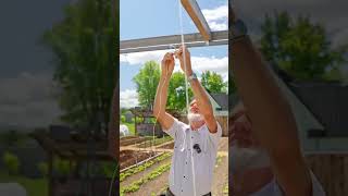 Discover Tomato Trellising Method Revealed By World Record Breaking Tomato Grower [upl. by Sedlik602]