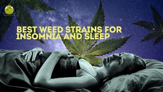 SMOKE THIS NOT THAT TOP WEED STRAINS TO SMOKE BEFORE BED Best Strains For Insomnia [upl. by Saidnac]