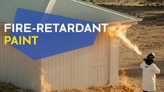 New fireretardant paint to help prevent spread of bushfires [upl. by Ahens777]