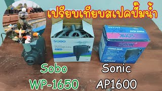 เปรียบเทียบปั๊มน้ำ Sobo WP1650 vs Sonic AP1600 พิกัดใกล้เคียงกัน ราคาไม่แพง [upl. by Yaja]