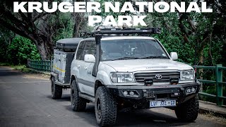 SATARA REST CAMP  KRUGER NATIONAL PARK  Episode 2 [upl. by Nojed94]