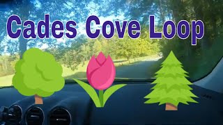 Exploring Cades Cove By Car A Scenic Drive Through The Smokies [upl. by Ioves834]