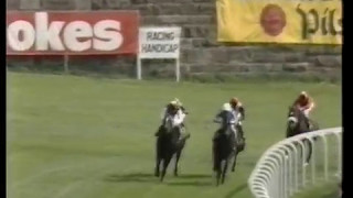 1985 Dalham Chester Vase [upl. by Jaymee]