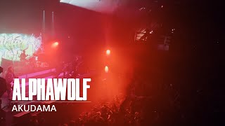 Alpha Wolf  Akudama LIVE  Boston MA 2024 [upl. by Ruberta179]