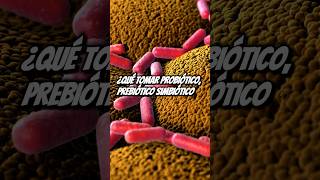 MICROBIOTA INTESTINAL ¿PREBIÓTICO o PROBIÓTICO🦠 cerebro salud intestino [upl. by Roger3]