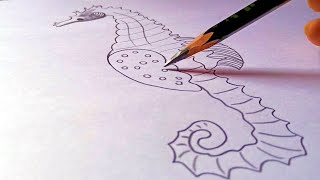 how to draw SEA HORSE easily  how to draw hippocampus step by step  Hippocampus diagram [upl. by Rory]