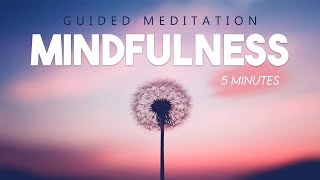 5 Minute Mindfulness Meditation  Focus amp Breathe  Stay Present In The Moment [upl. by Eyde914]