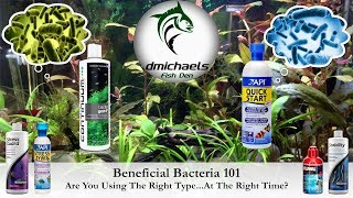 Beneficial Bacteria 101 Are You Using The Right Type At The Right Time [upl. by Otto455]