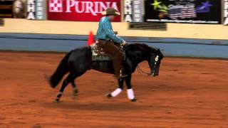 High Roller Whiz ridden by Jordan Larson  2014 NRHA DerbyOpen Derby Finals [upl. by Nytnerb174]