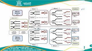 La Méiose et le Brassage Interchromosomique  Cours 3ème Année Sciences [upl. by Aiouqes779]