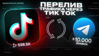 Трафик из ТикТок в Телеграм или Как Заработать 1000 за Один Месяц [upl. by Yclek398]