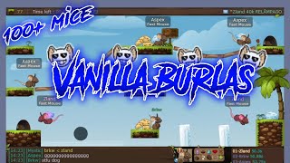 Transformice  Zland amp Aspex Vanilla Burlas Compilation LAST VIDEO [upl. by Krasnoff]