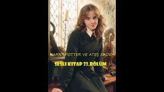 Harry Potter ve Ateş Kadehi  Bölüm 33  En İyi Sesli Kitap [upl. by Elayor]