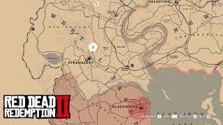 Things You Didnt Notice in RDR 2 [upl. by Annawot]