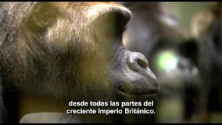 15 01 El genio de Charles DarwinRichard Dawkins La vida Darwin y todas las cosas  subtitulado [upl. by Noitna281]