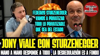 Jony Viale mano a mano con Federico Sturzenegger vamos a PRIVATIZAR todo lo que sea privatizable [upl. by Mariken]