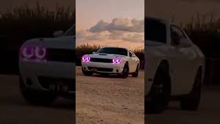 Again the drift dodge challenger beauty shorts car dodgechallenger [upl. by Lhadnek]