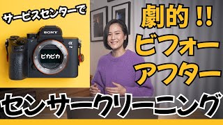 【Sony α7III】ビフォーampアフター SONYサービスセンターでセンサークリーニングをしたらとても綺麗になりました。 [upl. by Melicent]