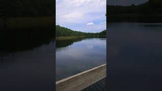 Another Day Another Ride Shingle Creek Regional Trail Orlando FL subscribe followme byklife [upl. by Jabe]