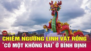 Cận cảnh vẻ oai phong của linh vật rồng ở Bình Định  THVN [upl. by Ynhoj]