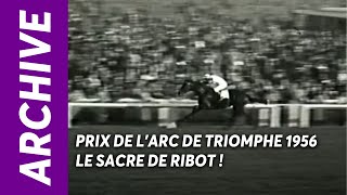 PRIX DE LARC DE TRIOMPHE 1956  LE SACRE DE RIBOT   Archives [upl. by Nnylsor757]