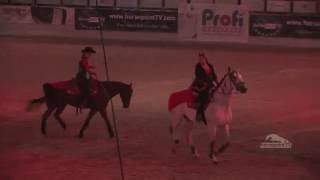 AQHA Austria  Apropos Pferd 2016  Austrias Main Horse Fair  Showpart [upl. by Adil]