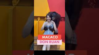 Macaco Don Ruan Monkey 🙊 monkey monkeyvideo monkeyfunny funny [upl. by Chev]