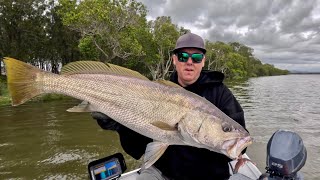 Back on the River fishing for JEWFISH [upl. by Hunley]