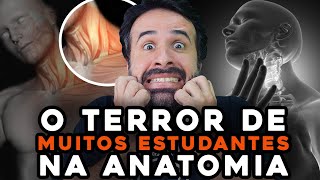 MÃšSCULOS DO PESCOÃ‡O O TERROR DE MUITOS ESTUDANTES NA ANATOMIA [upl. by Ducan]