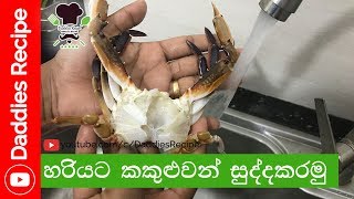 ★ නිවැරදිව කකුළුවන් සුද්ද කරමු  How to clean crab [upl. by Swerdna882]