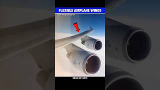 Why Airplane Wings Flexible😱 [upl. by Eiltan]