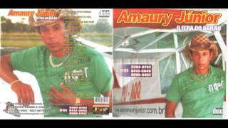 Cd completo Amaury Junior vol 13 [upl. by Gross]