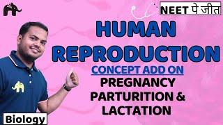 Human Reproduction Class 12 NEET  Pregnancy Parturition amp Lactation  Concept AddOn  Biology [upl. by Hpesojnhoj283]