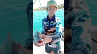 Reef fishing in Hervey Bay  grassy sweetlip australia fishing [upl. by Stephania]