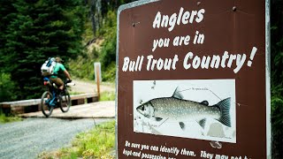 The Bull Trout Loop  Bikepacking in northern Idaho [upl. by Okoy]