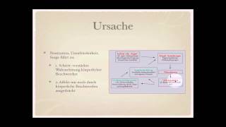 Ängste Zwänge Somatoforme Dissoziative und Anpassungsstörungen sowie PTBS Teil 58 [upl. by Netsrijk]