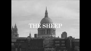 Sensible Music  The Sheep Official Music Video [upl. by Dara]