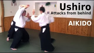 Aikido techniques on attacks from behind USHIRO by Stefan Stenudd in 2012 [upl. by Dnomde]