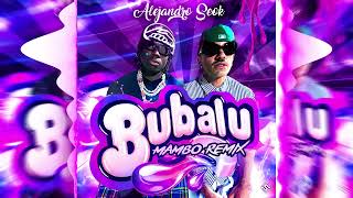 Feid Rema  Bubalu Mambo Remix Alejandro Seok [upl. by Yentiw]