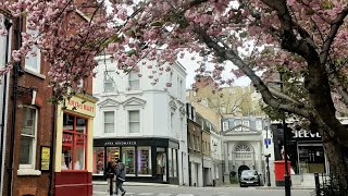 Hidden Mews Homes of Belgravia Cadogan Lane  London Architecture [upl. by Uzzia886]